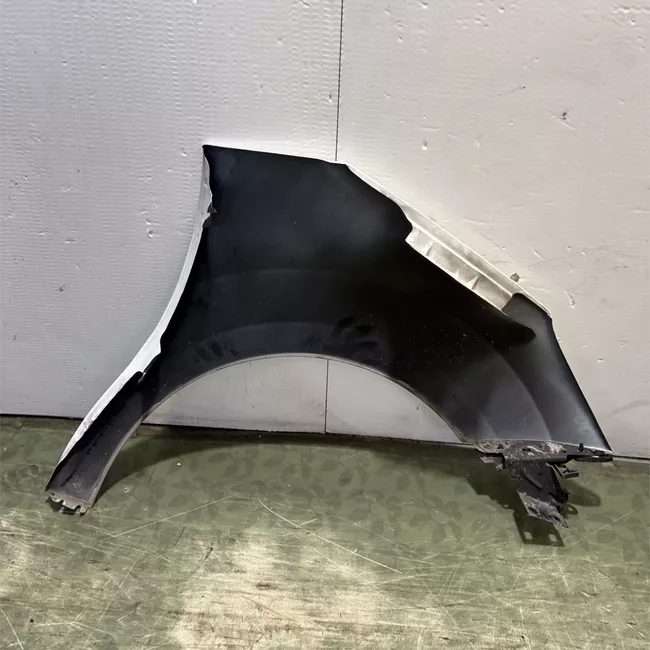 Parafango anteriore sinistro