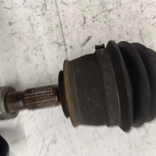 Semialbero anteriore completo destro