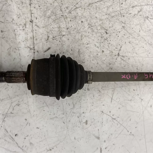 Semialbero anteriore completo destro