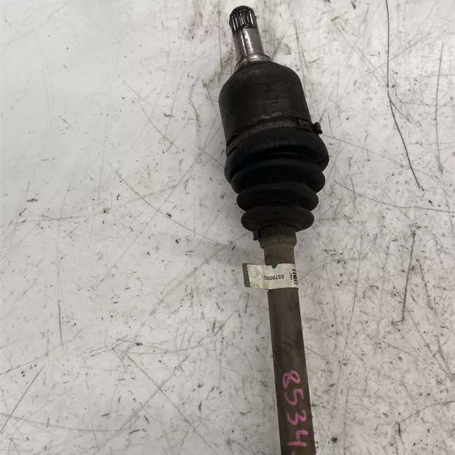 Semialbero anteriore completo sinistro