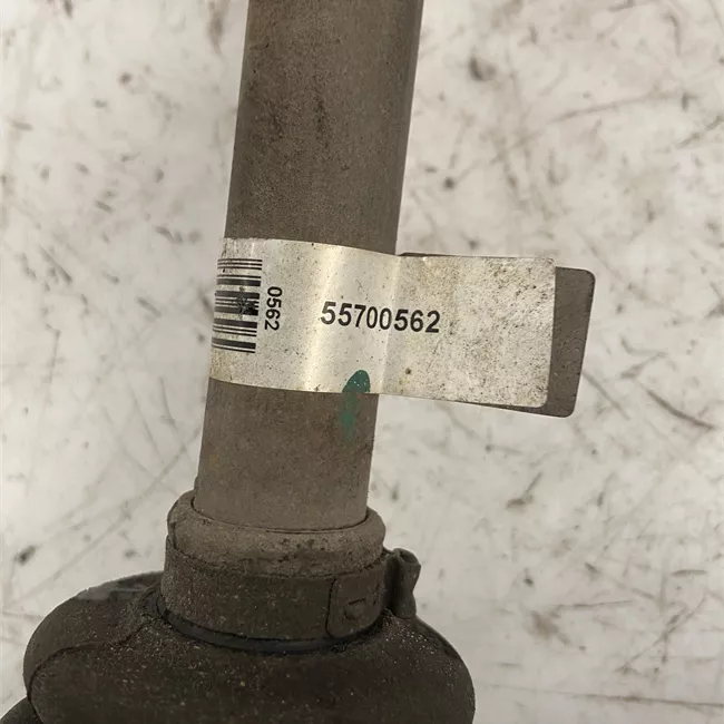 Semialbero anteriore completo sinistro