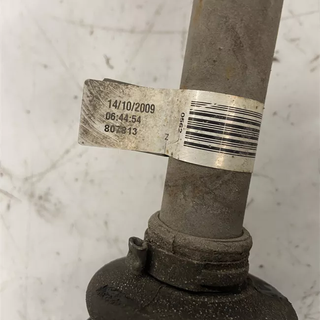 Semialbero anteriore completo sinistro