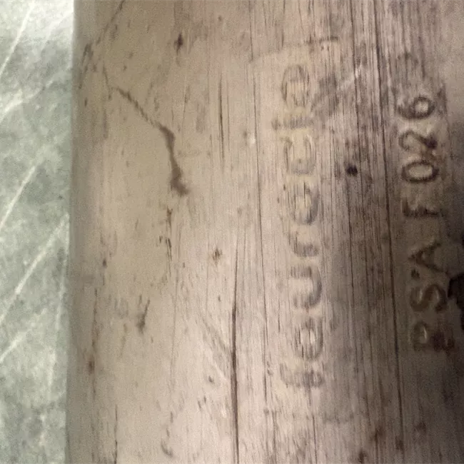 Convertitore catalitico