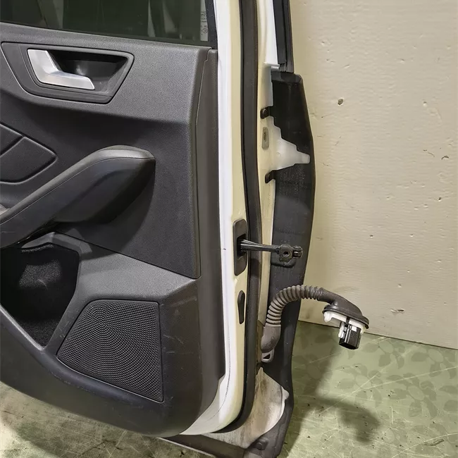 Porta posteriore sinistra