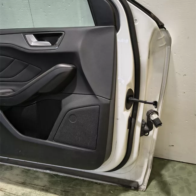 Porta anteriore sinistra