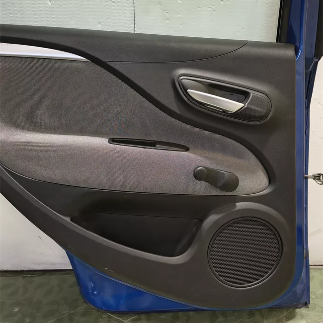 Porta posteriore sinistra