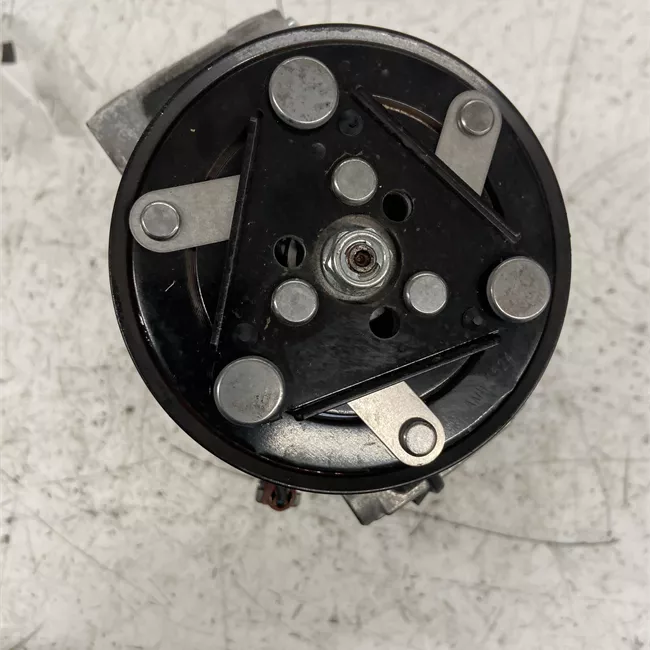 Compressore aria condizionata Sanden