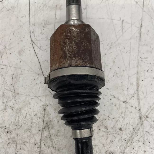 Semialbero anteriore completo sinistro