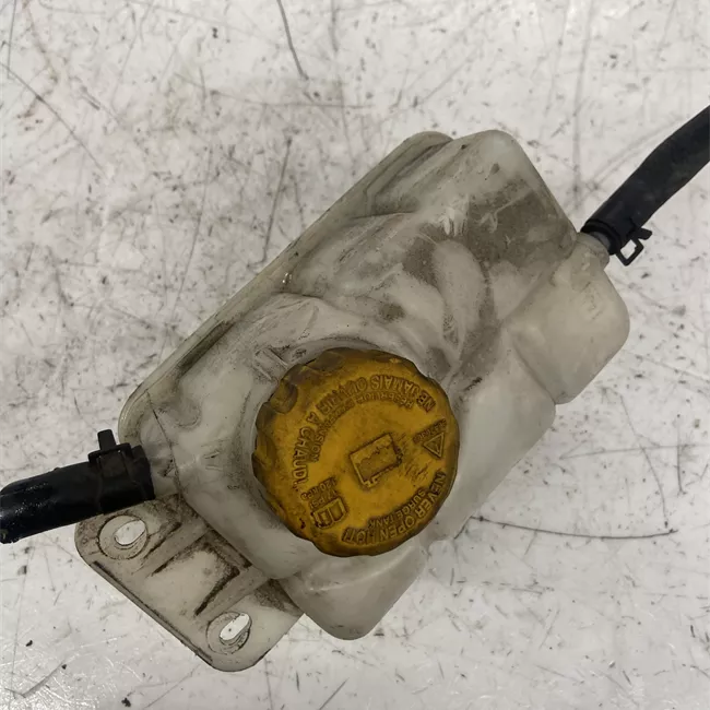 Vaschetta compensazione radiatore