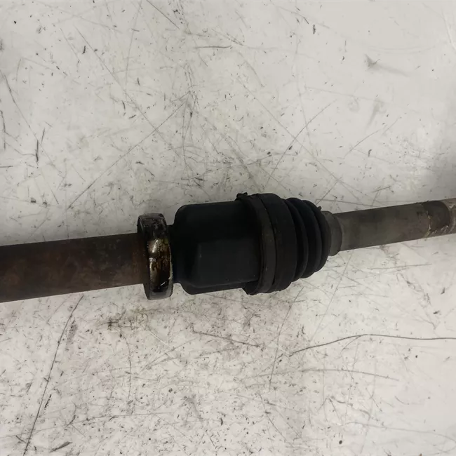 Semialbero anteriore completo destro