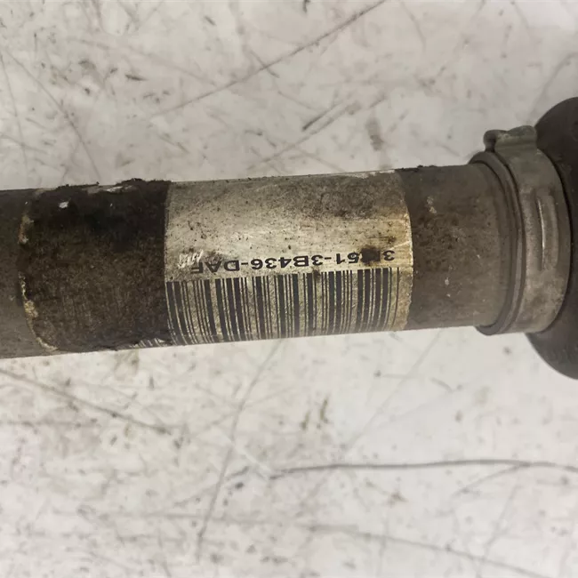 Semialbero anteriore completo destro