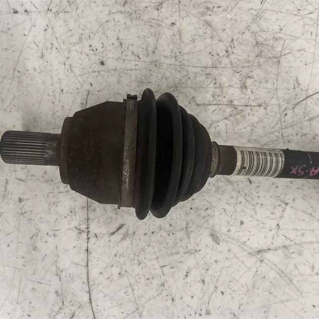 Semialbero anteriore completo sinistro