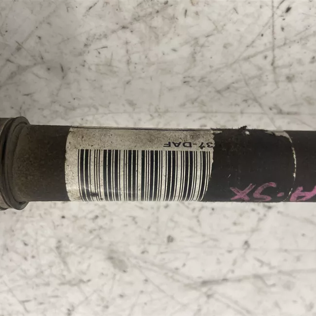 Semialbero anteriore completo sinistro