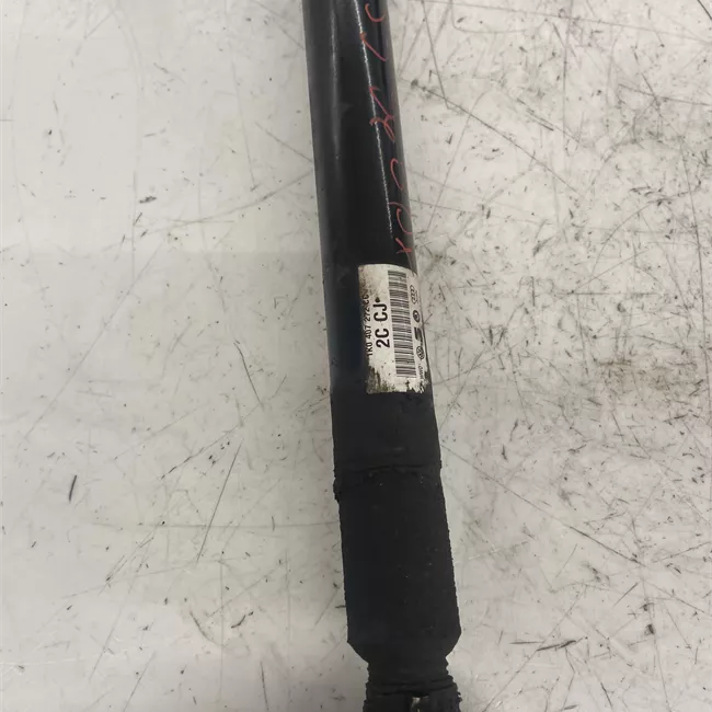 Semialbero anteriore completo destro