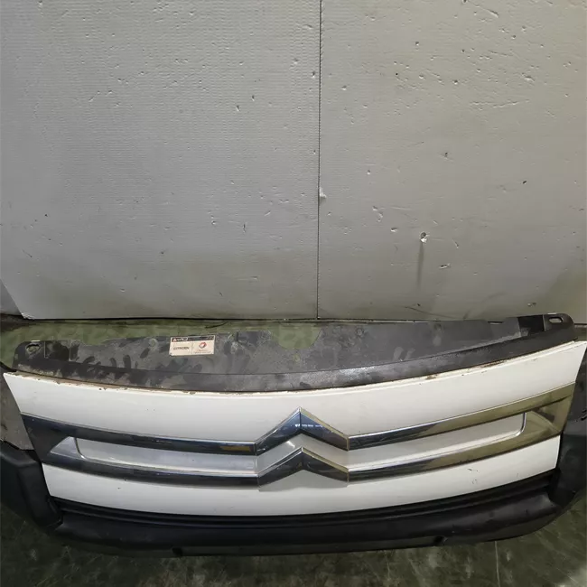 Paraurti anteriore Da verniciare