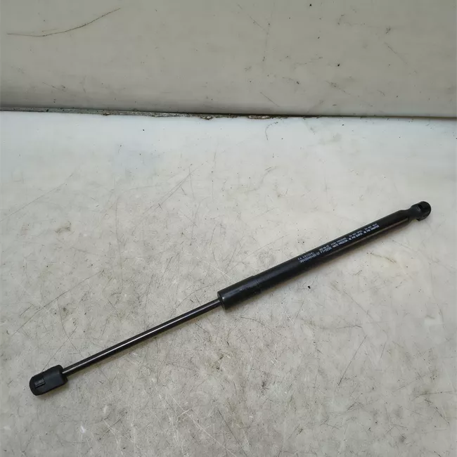 Asta ammortizzante portello posteriore sinistra
