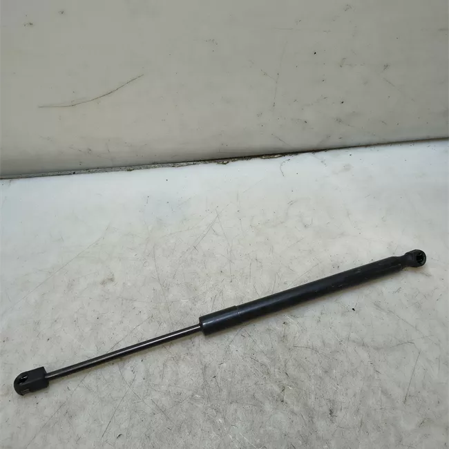 Asta ammortizzante portello posteriore sinistra