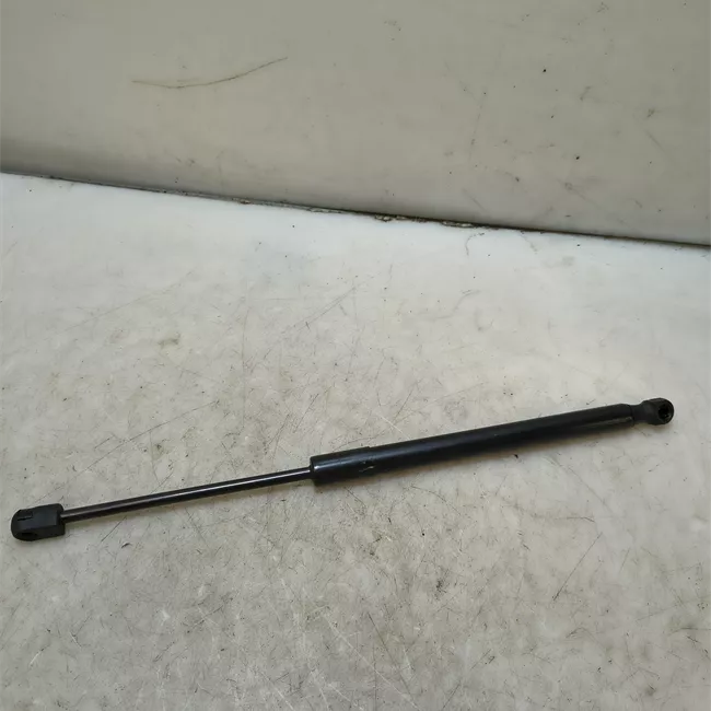 Asta ammortizzante portello posteriore destra