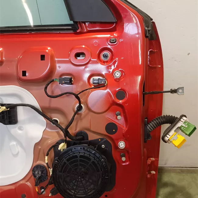 Porta anteriore sinistra