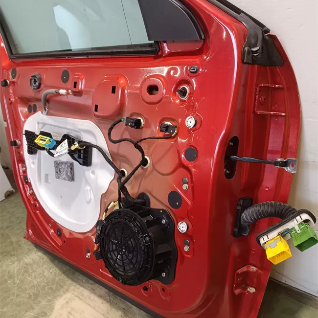 Porta anteriore sinistra