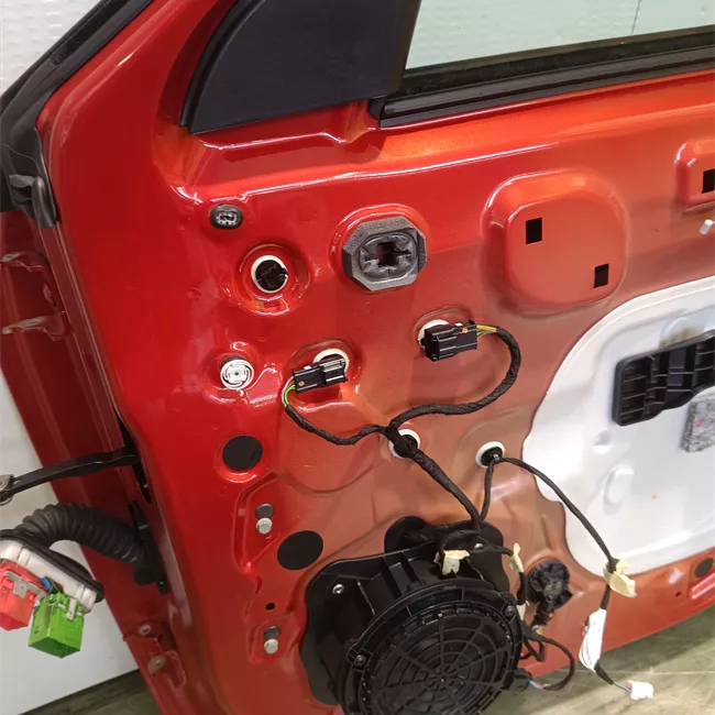 Porta anteriore destra