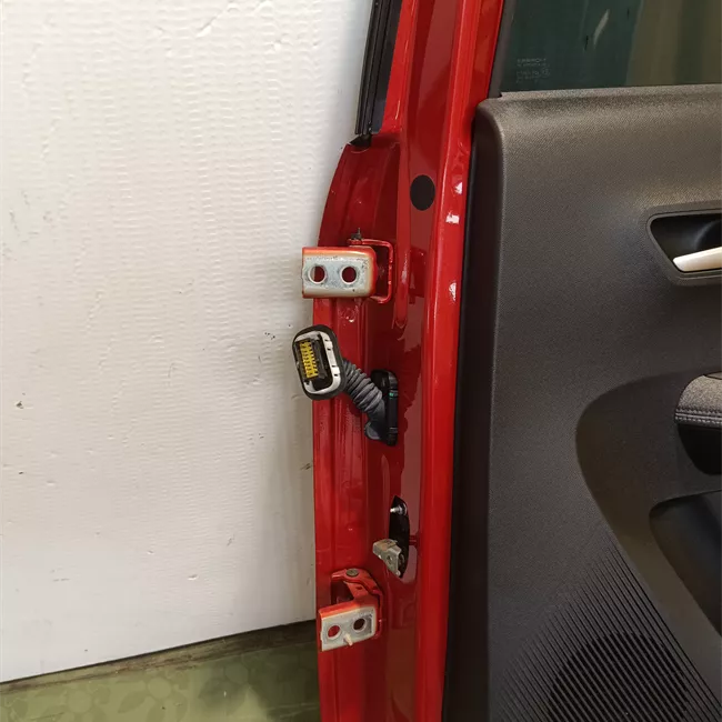 Porta posteriore destra