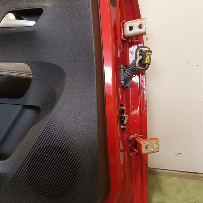 Porta posteriore sinistra