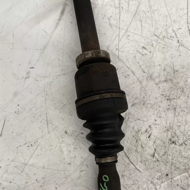 Semialbero anteriore completo destro