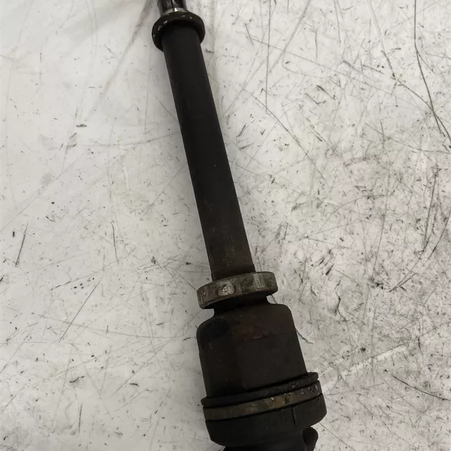 Semialbero anteriore completo destro