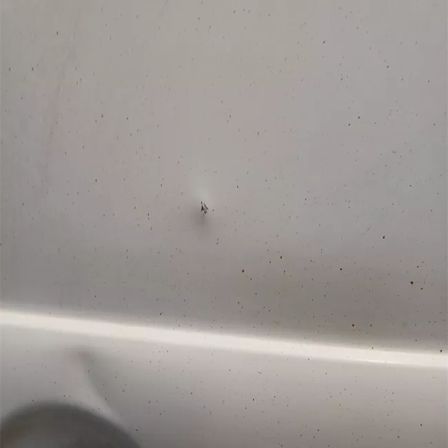 Porta carico posteriore a battente destra