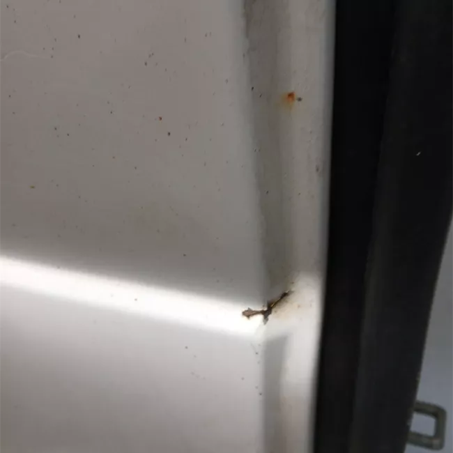 Porta carico posteriore a battente sinistra