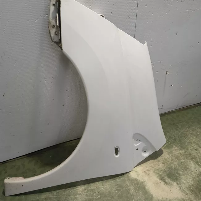 Parafango anteriore sinistro