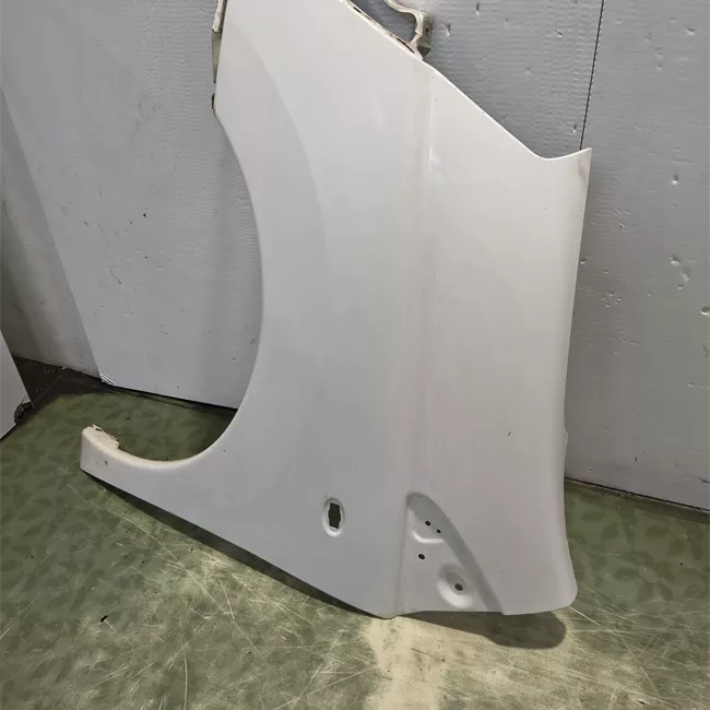 Parafango anteriore sinistro