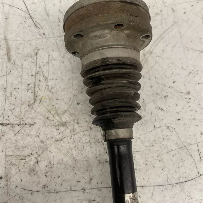 Semialbero anteriore completo sinistro