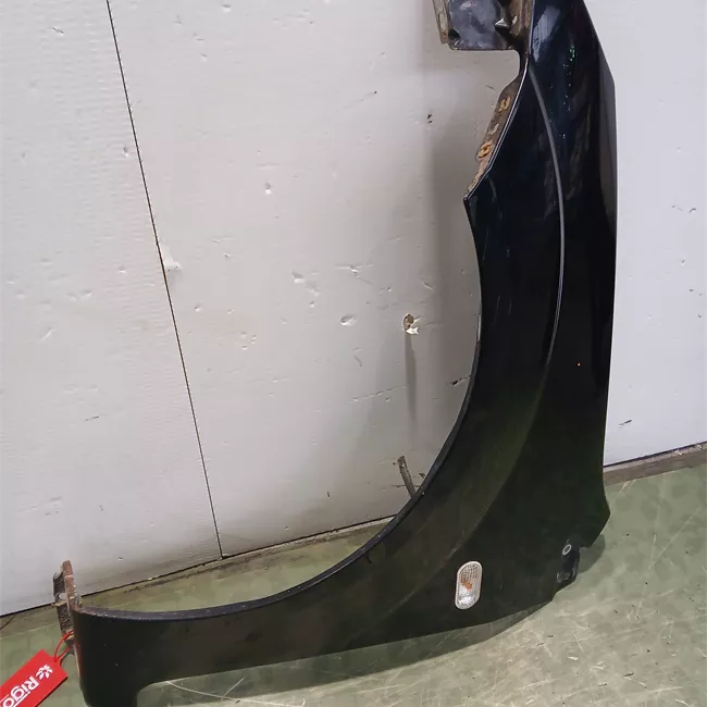 Parafango anteriore sinistro