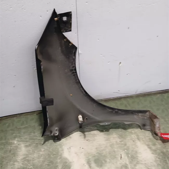 Parafango anteriore sinistro