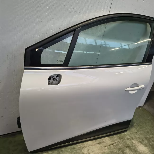 Porta anteriore sinistra