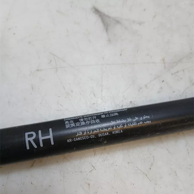 Asta ammortizzante portello posteriore sinistra