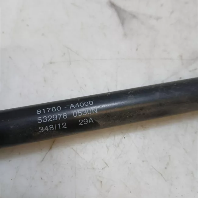 Asta ammortizzante portello posteriore sinistra