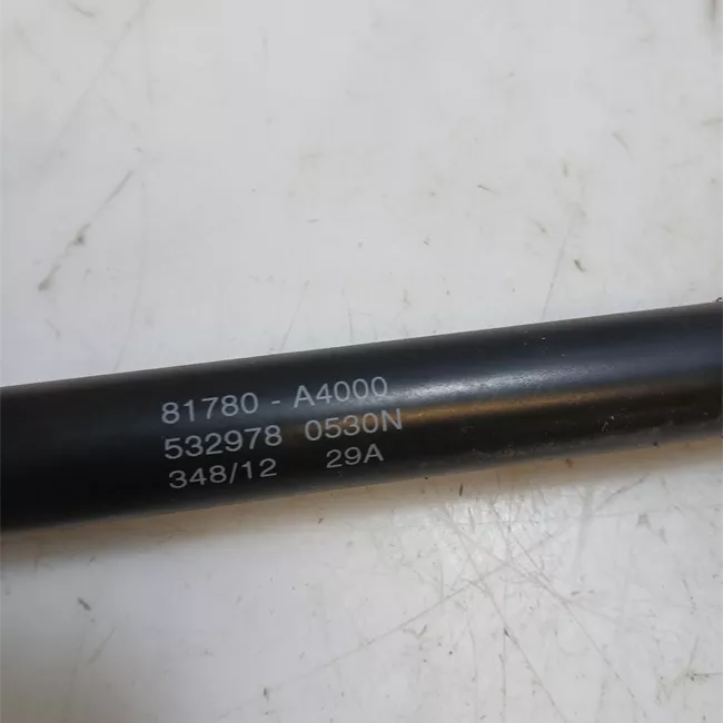 Asta ammortizzante portello posteriore sinistra