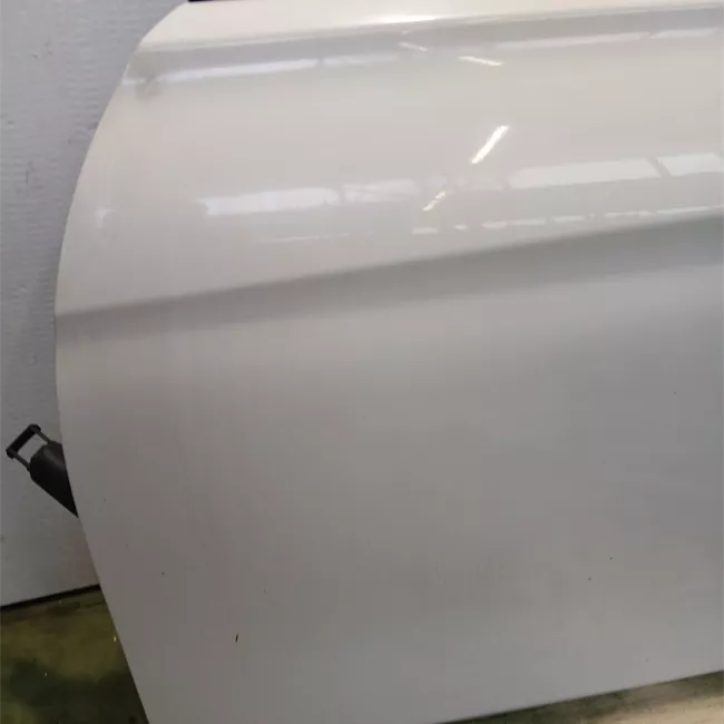 Porta anteriore sinistra