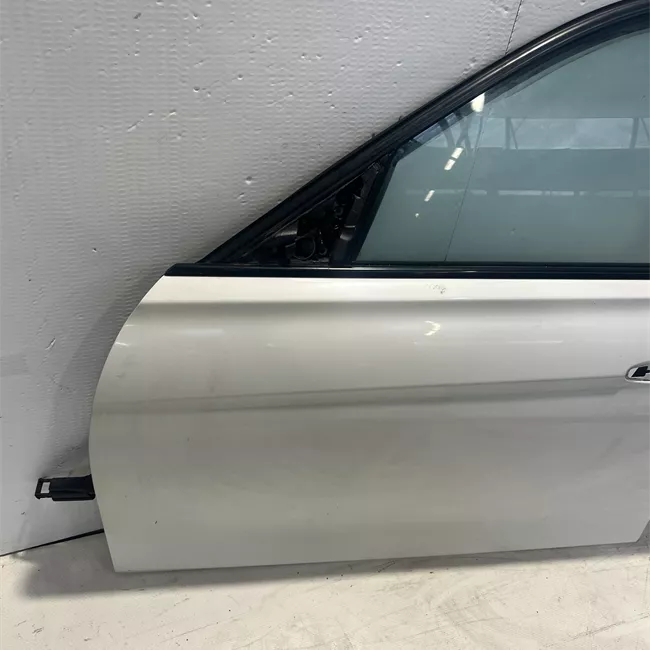 Porta anteriore sinistra