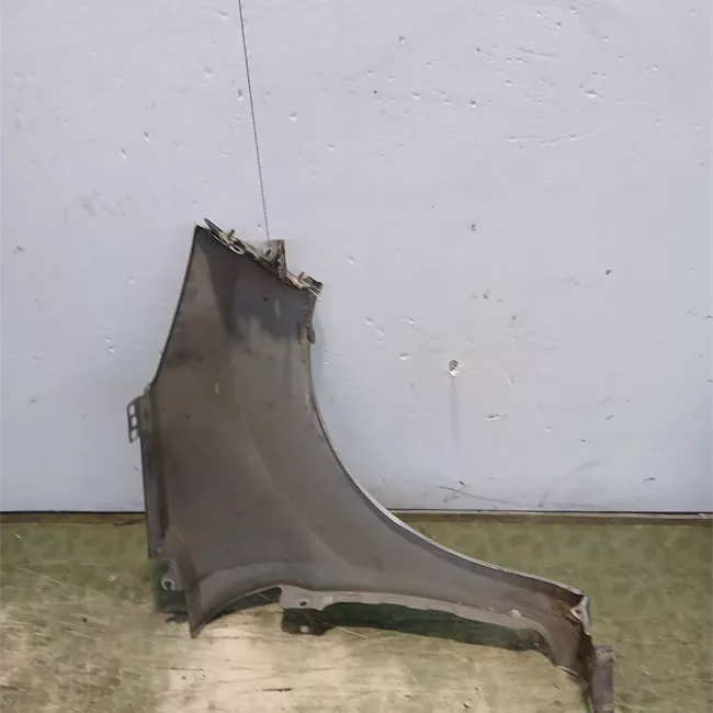 Parafango anteriore sinistro