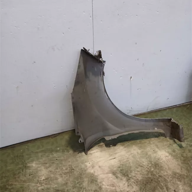 Parafango anteriore sinistro
