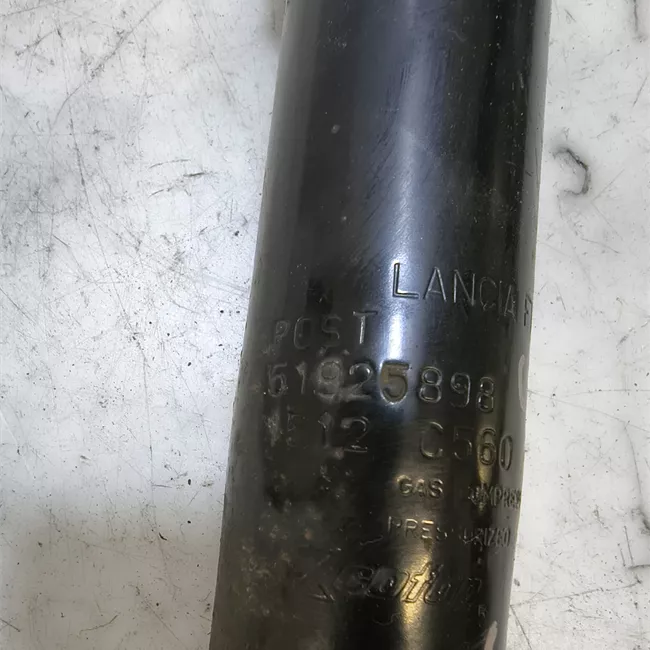 Ammortizzatore posteriore sinistro