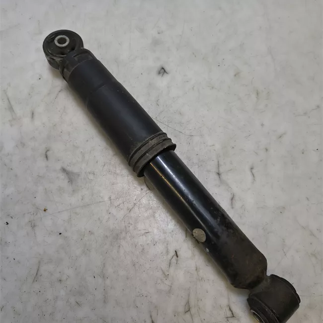 Ammortizzatore posteriore sinistro