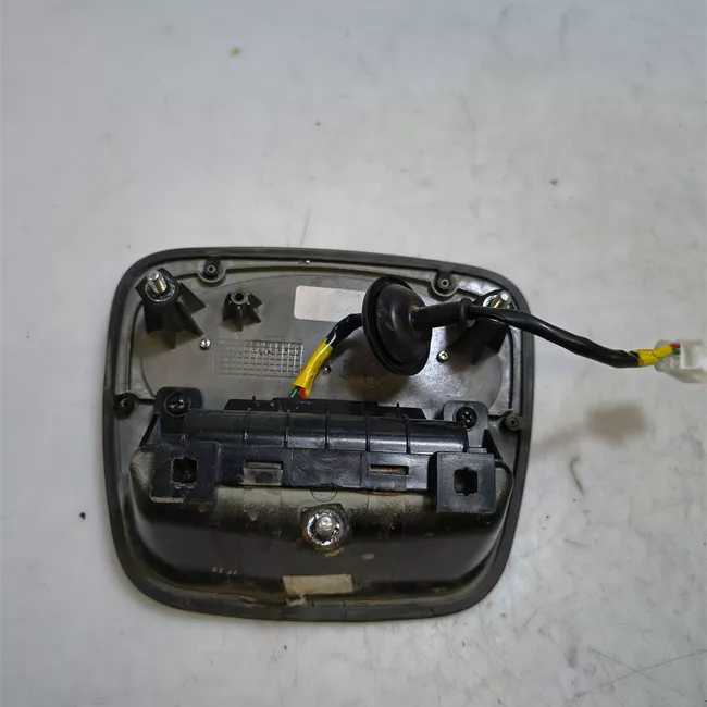 Maniglia portello posteriore primer