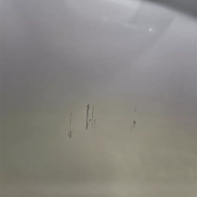 Porta anteriore destra