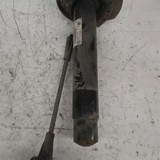 Ammortizzatore anteriore sinistro