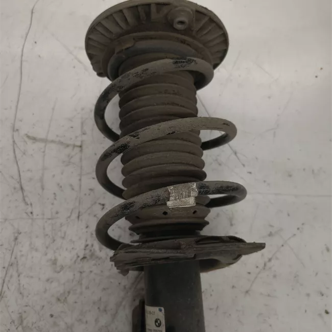 Ammortizzatore anteriore sinistro